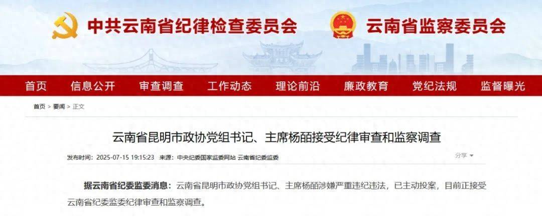 曾任昆明市副市長的她，主動投案