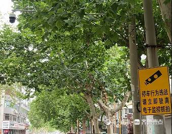濟南槐蔭區(qū)建邦大廈門口車輛亂停占道，交警：已安裝交通隔離設(shè)施