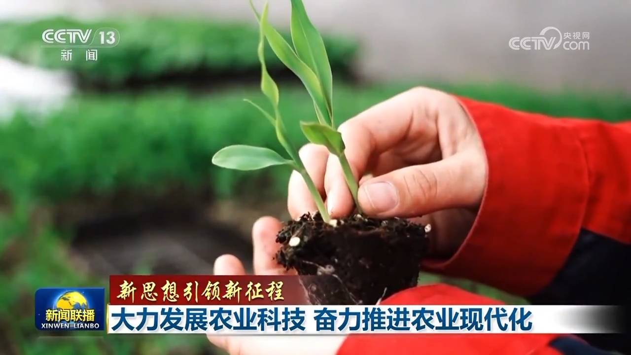 【新思想引領(lǐng)新征程】大力發(fā)展農(nóng)業(yè)科技 奮力推進農(nóng)業(yè)現(xiàn)代化