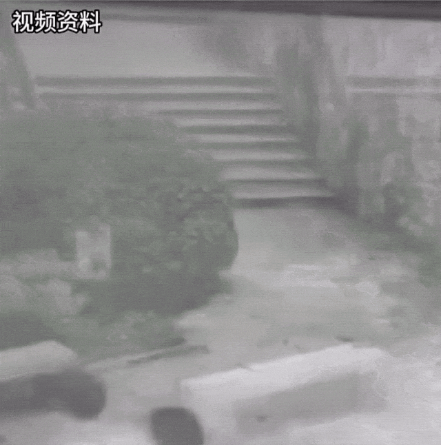 僅40秒！兩人不幸身亡