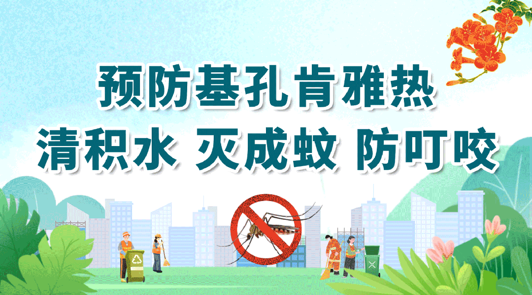 收好這份指引！十大場(chǎng)所滅蚊防基孔肯雅熱有方法
