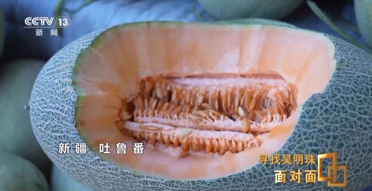 面對面丨中國人的吃瓜自由要感謝她！吳明珠說她的一生就是結幾個好瓜獻給人民