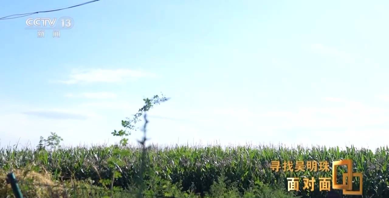 面對面丨中國人的吃瓜自由要感謝她！吳明珠說她的一生就是結幾個好瓜獻給人民