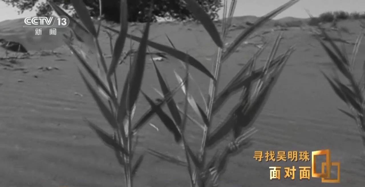面對面丨中國人的吃瓜自由要感謝她！吳明珠說她的一生就是結幾個好瓜獻給人民