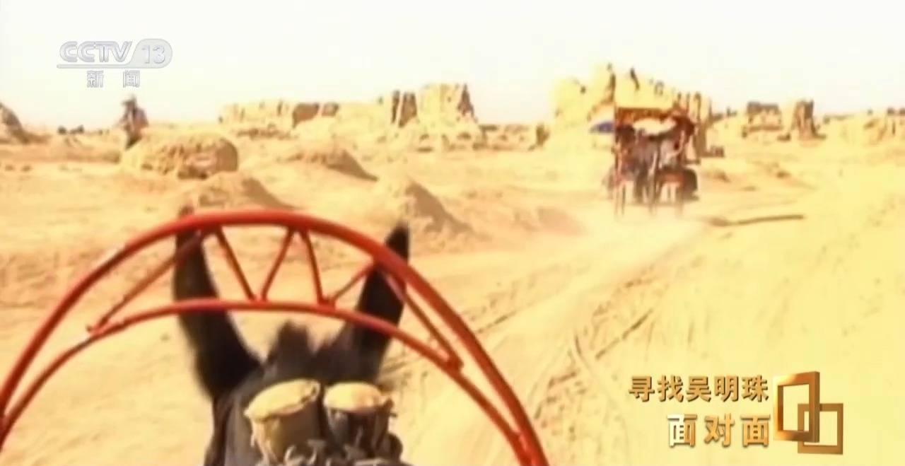面對面丨中國人的吃瓜自由要感謝她！吳明珠說她的一生就是結幾個好瓜獻給人民