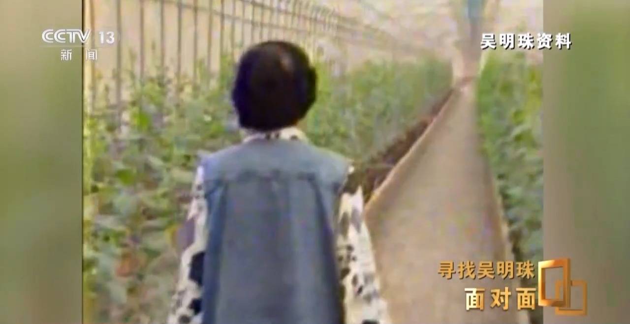 面對面丨中國人的吃瓜自由要感謝她！吳明珠說她的一生就是結幾個好瓜獻給人民
