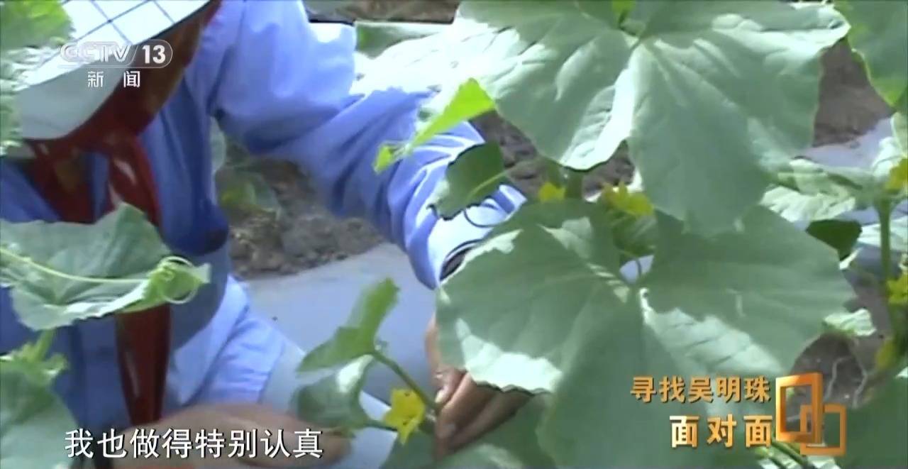 面對面丨中國人的吃瓜自由要感謝她！吳明珠說她的一生就是結幾個好瓜獻給人民