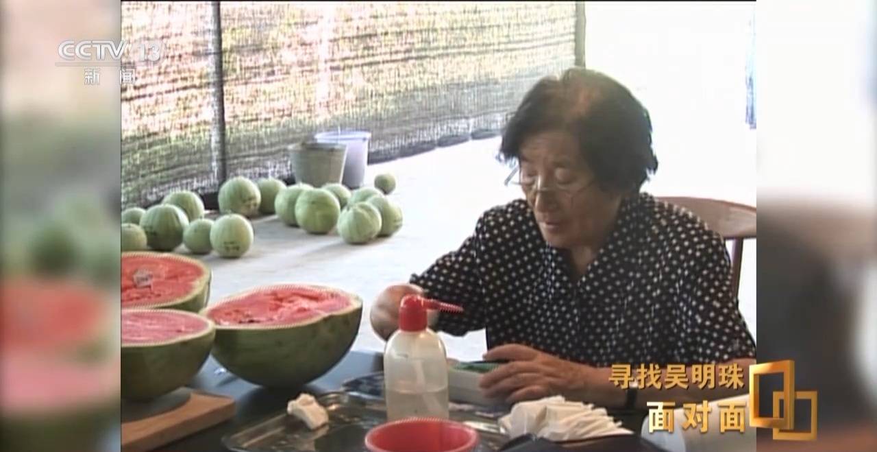 面對面丨中國人的吃瓜自由要感謝她！吳明珠說她的一生就是結幾個好瓜獻給人民