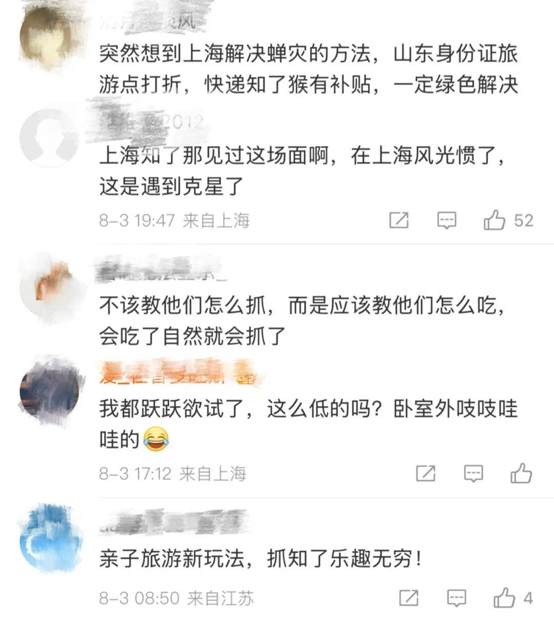 山東父子在上海抓知了降維打擊，“孩子一分鐘徒手抓了十幾只”