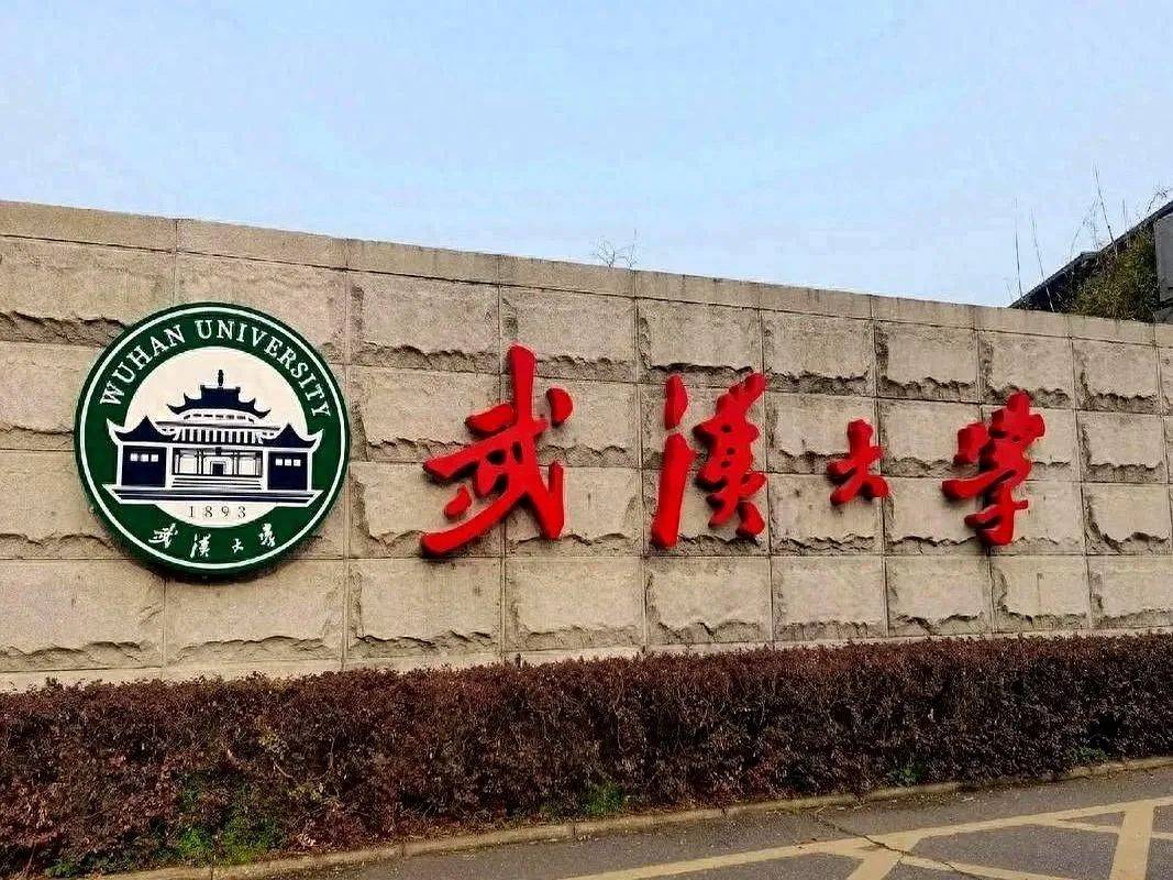 害人害己！武大楊某踢到鐵板，知情人曝將被開(kāi)除，到手的博士難保