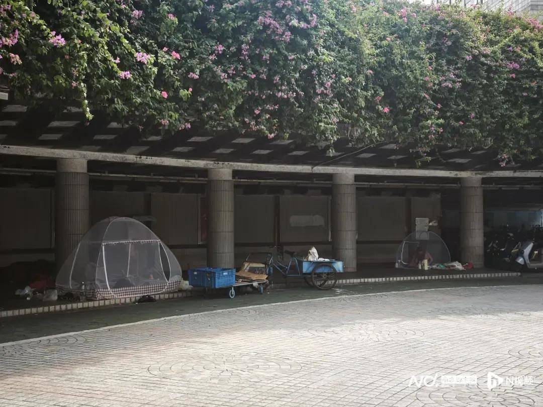 全民滅蚊總動(dòng)員，大廣東給我們上了一課