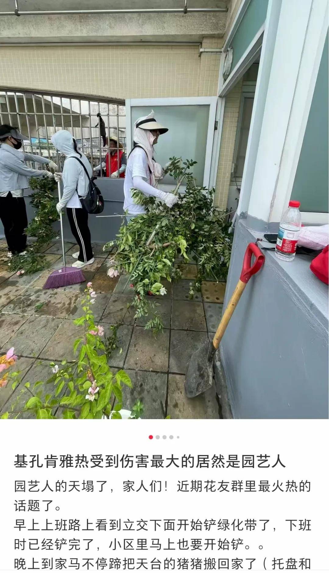 全民滅蚊總動(dòng)員，大廣東給我們上了一課