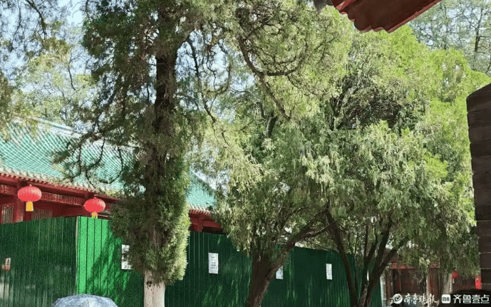 風(fēng)暴下的少林寺迎新變化：收費(fèi)掃碼項目消失 網(wǎng)傳數(shù)十個和尚離職