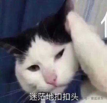 離婚三年又被拍到親密逛超市，他倆這是純帶娃還是真復(fù)合了？
