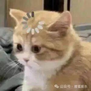 離婚三年又被拍到親密逛超市，他倆這是純帶娃還是真復(fù)合了？