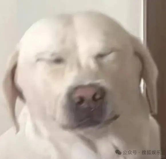 離婚三年又被拍到親密逛超市，他倆這是純帶娃還是真復(fù)合了？
