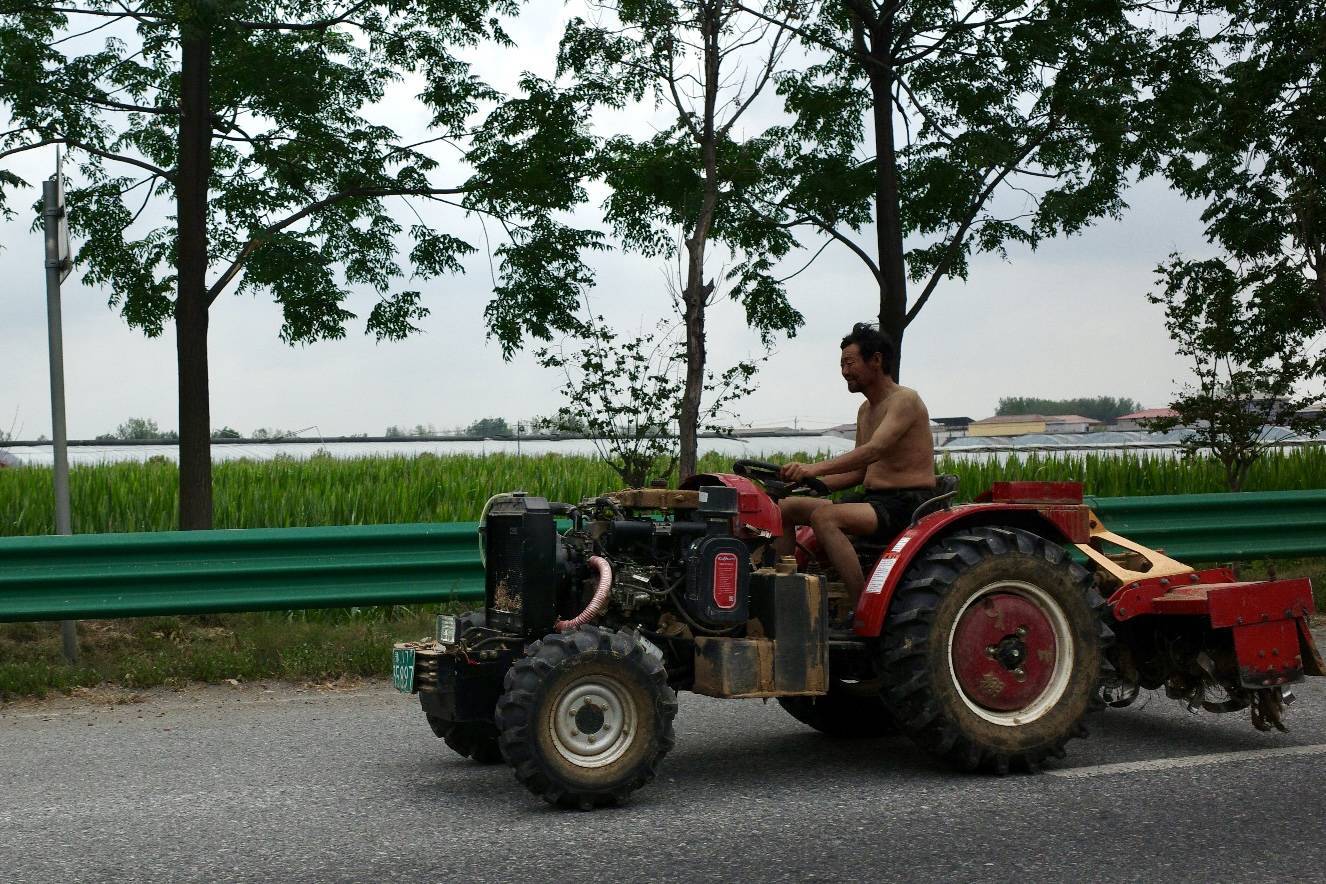 干旱38天后，河南駐馬店農(nóng)民等來了一場雨