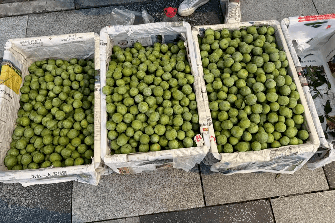 成都街頭9.8元/斤的“蜂糖李”其實(shí)是青脆李？專家：存在以次充好情況，注意辨認(rèn)｜追蹤到底