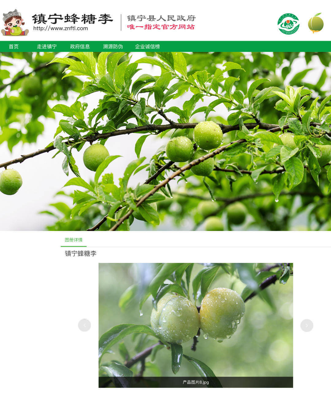 成都街頭9.8元/斤的“蜂糖李”其實(shí)是青脆李？專家：存在以次充好情況，注意辨認(rèn)｜追蹤到底
