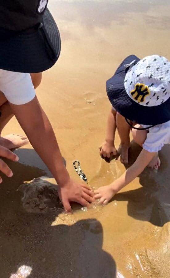 青島趕海沙灘中挖出手機(jī)，濰坊熱心游客物歸原主