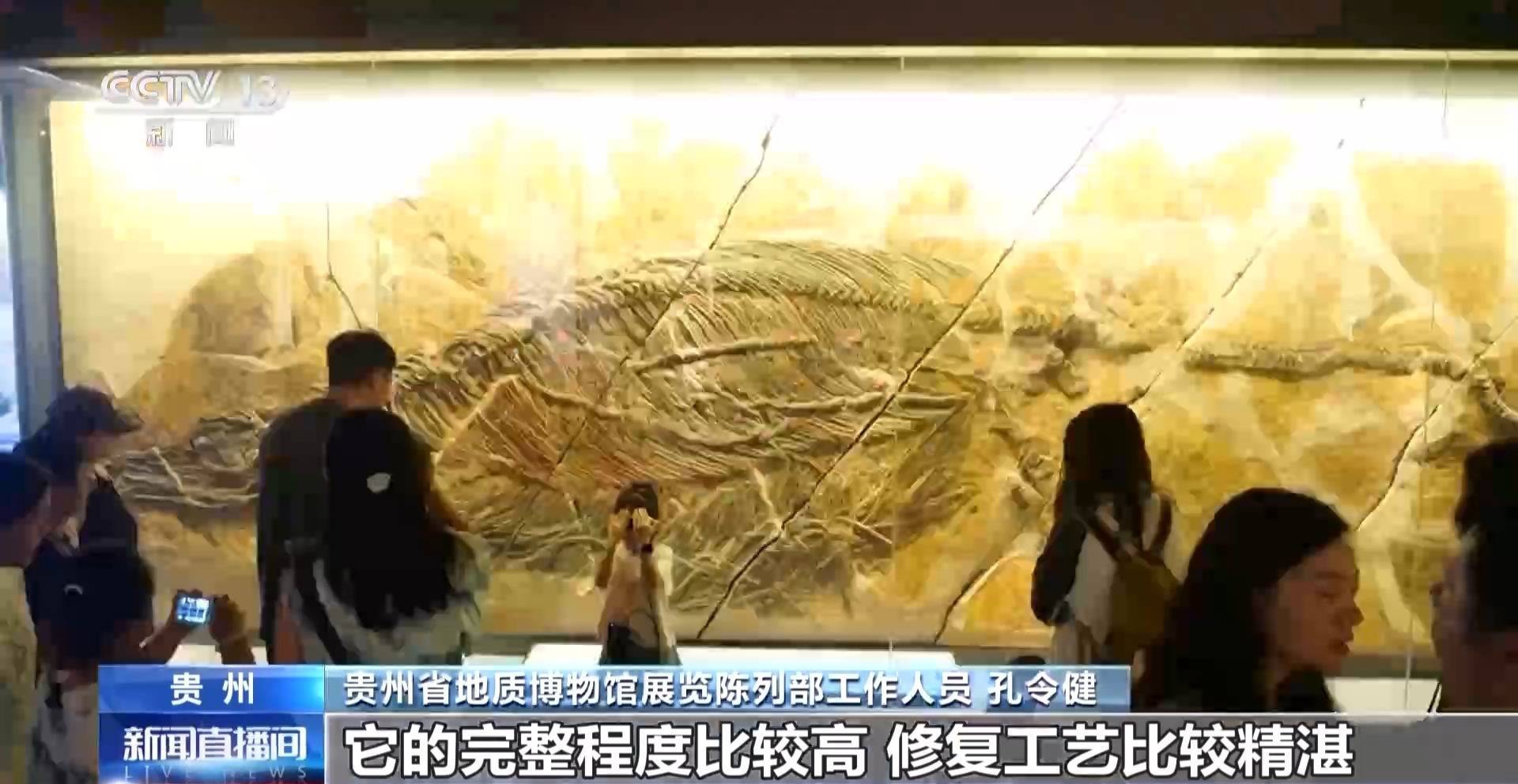 文化中國(guó)行丨暑期“文博熱” 各地博物館推出多元體驗(yàn)新玩法