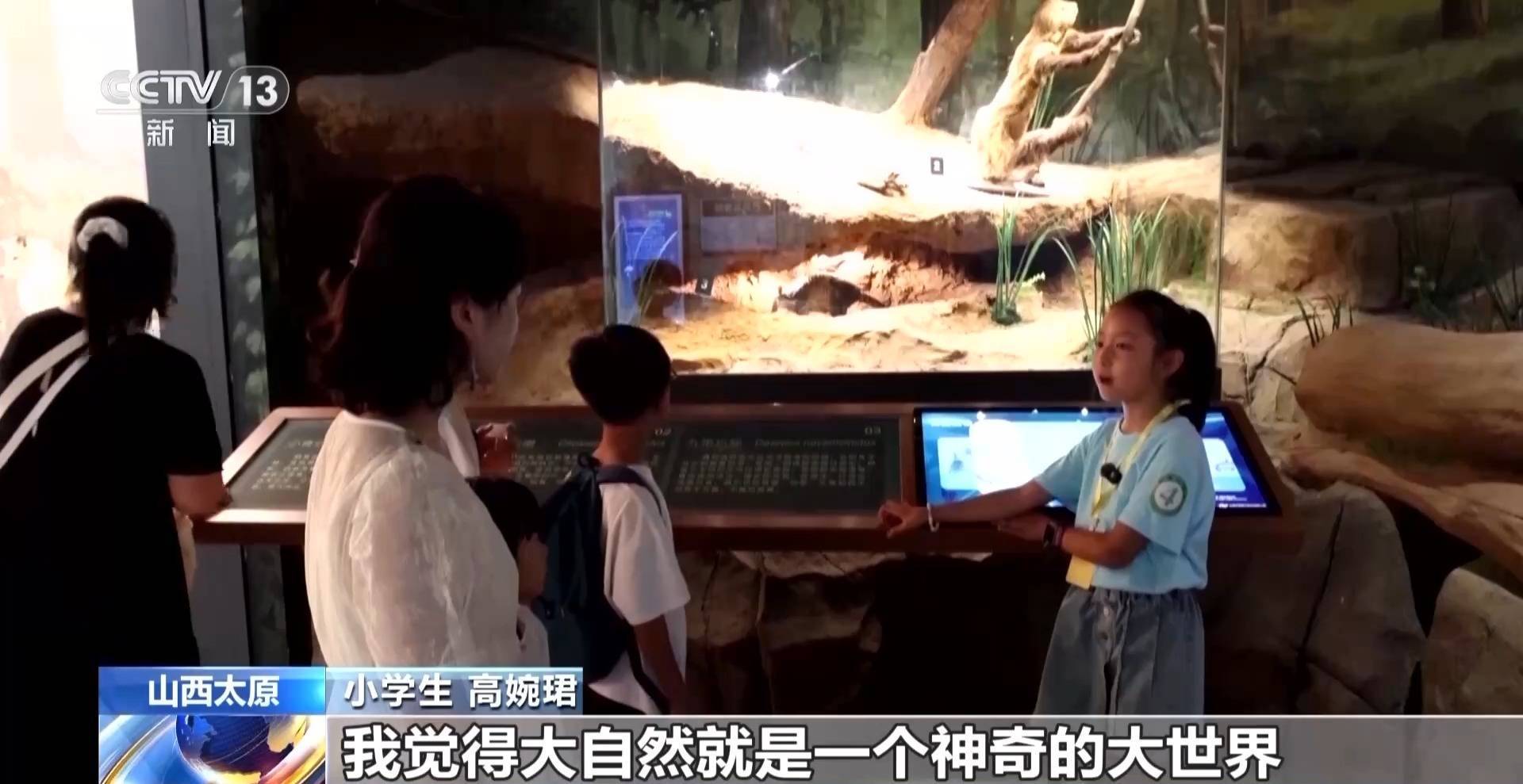 文化中國(guó)行丨暑期“文博熱” 各地博物館推出多元體驗(yàn)新玩法