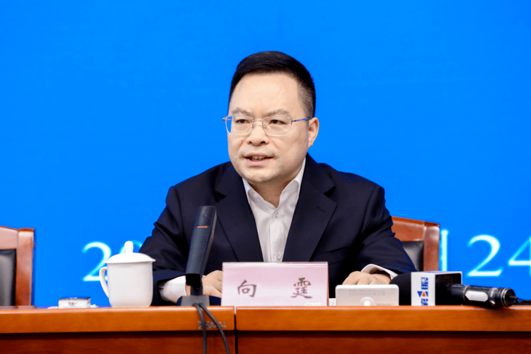 中央巡視期間，向霆被查