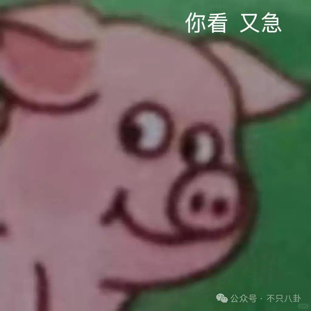 讓46歲的老婆給他生二胎？這姐別是又跳進(jìn)一個(gè)火坑了吧……