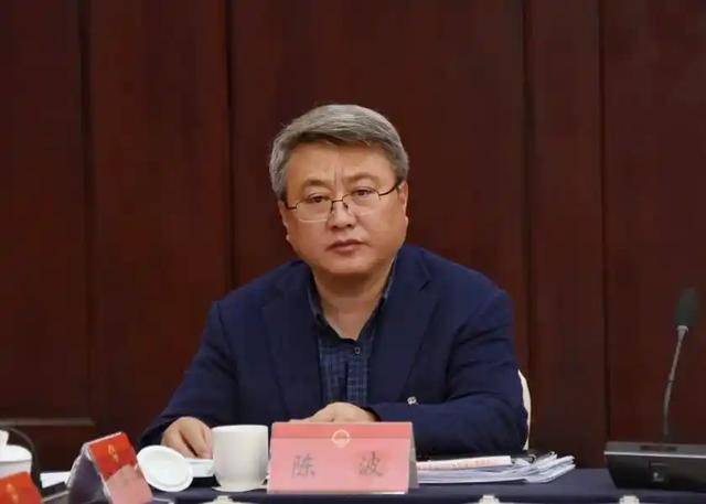 受賄數(shù)額特別巨大、濫用職權(quán)致國(guó)家利益遭重大損失，陳波被公訴