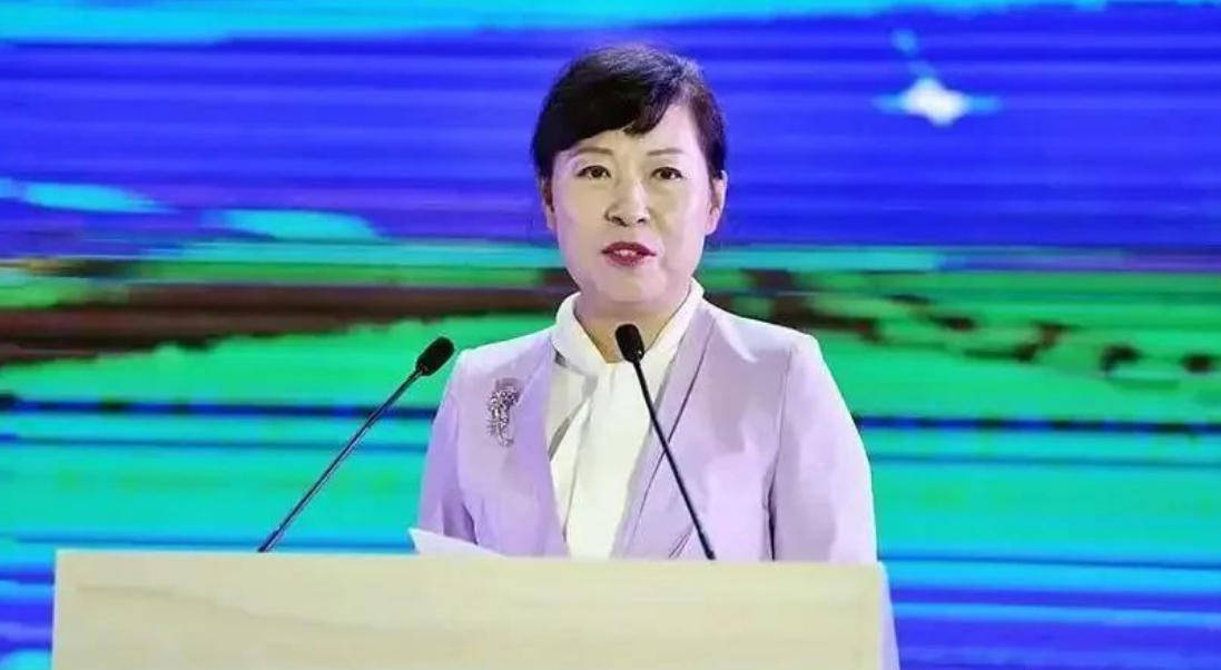 “換裝主席”王莉霞的墮落：從光鮮人設到腐敗深淵