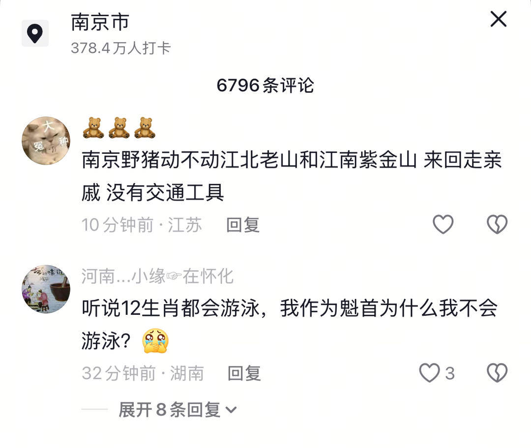南京六頭野豬組隊(duì)渡長江，網(wǎng)友：天蓬元帥天上管水軍的