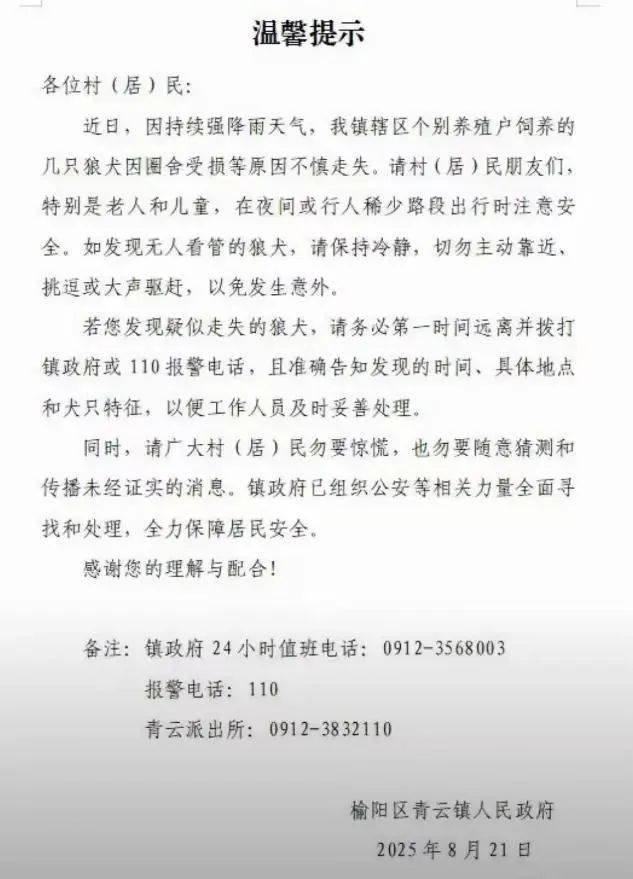 陜西一鎮(zhèn)上有狼外逃？當(dāng)?shù)鼗貞?yīng)：是狼犬，已擊斃21只，還有一兩只在逃