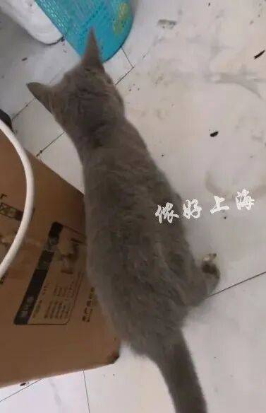 上海一房東崩潰！"00后"情侶租客失聯(lián)，打開房門直呼"辣眼睛"…