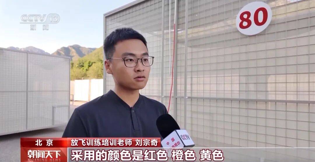 明天將放飛8萬羽和平鴿、8萬只氣球，揭秘！