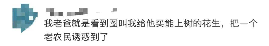 “花生上樹”鬧?。篈I翻車背后，我們都在弄丟常識？